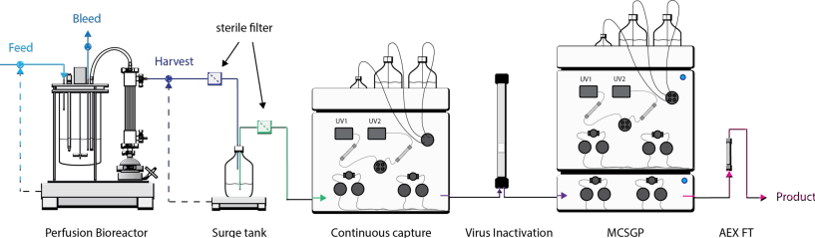 Fully integrated bioprocessing with continuous upstream and downstream