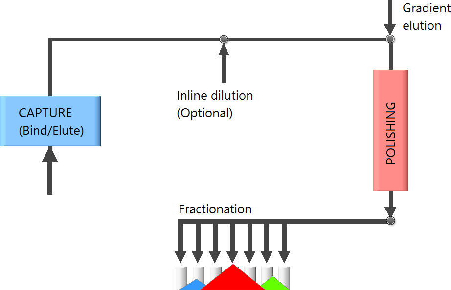 ChromIQ Integrated Batch Wizard