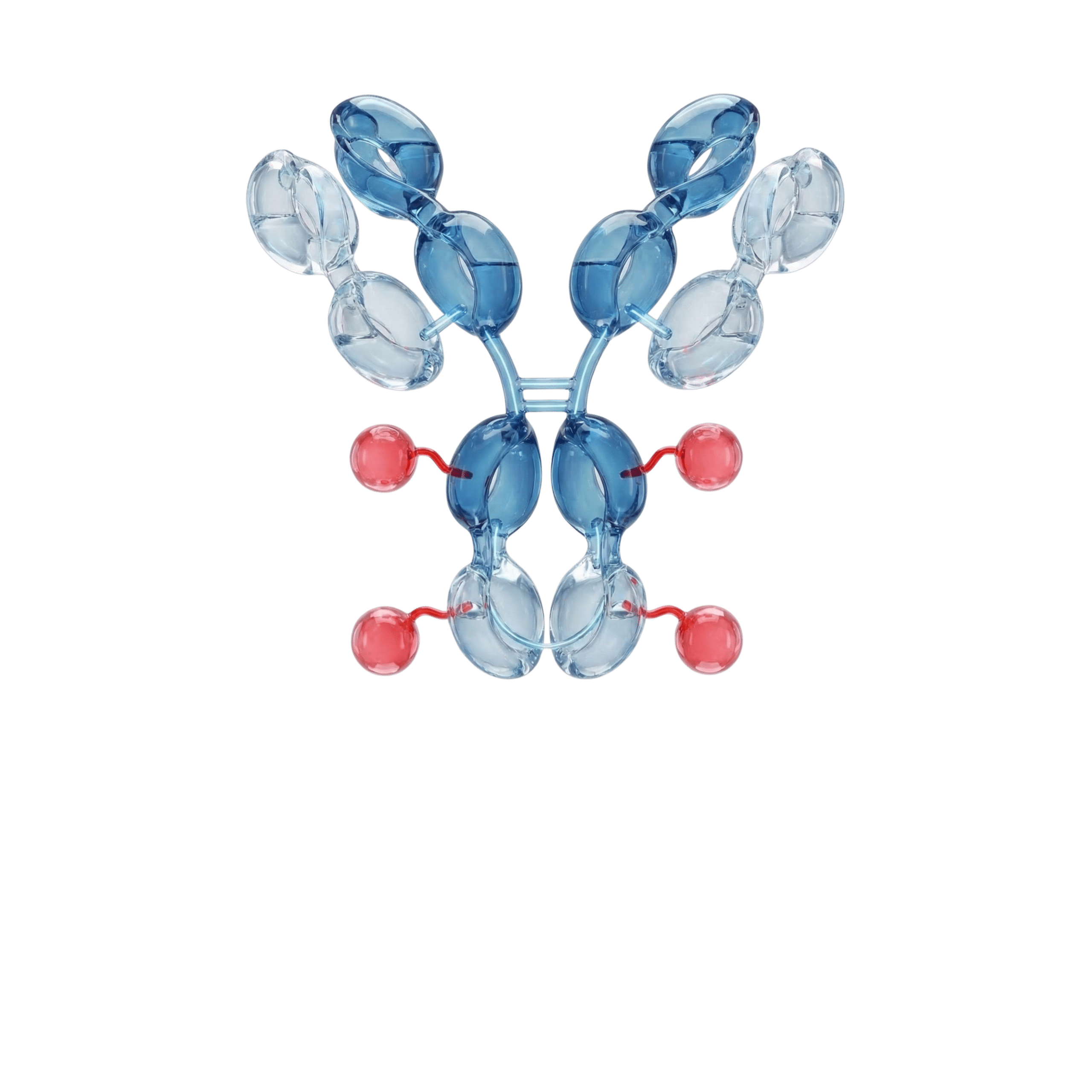 Antibody-drug Conjugates