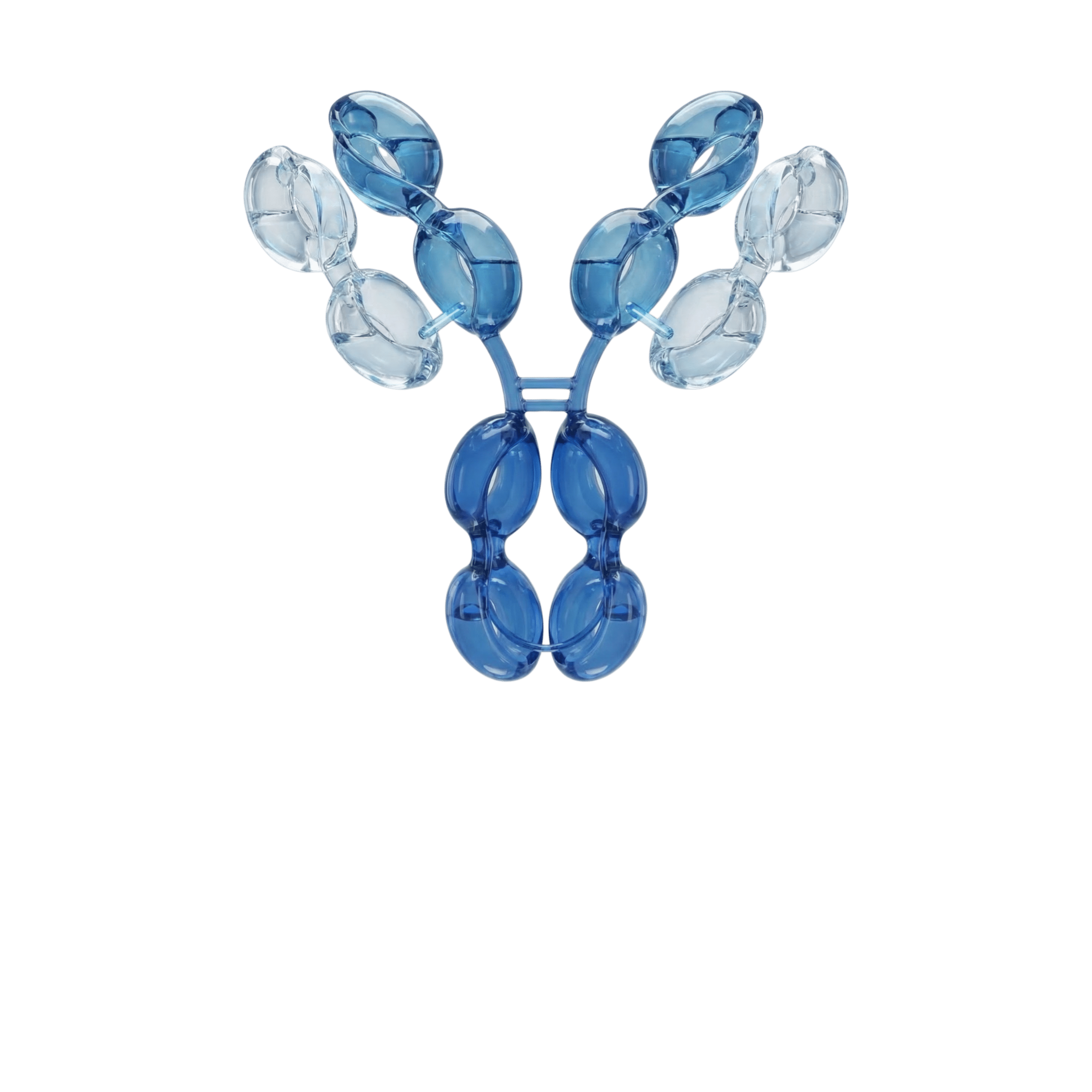 mAbs & Antibody Variants