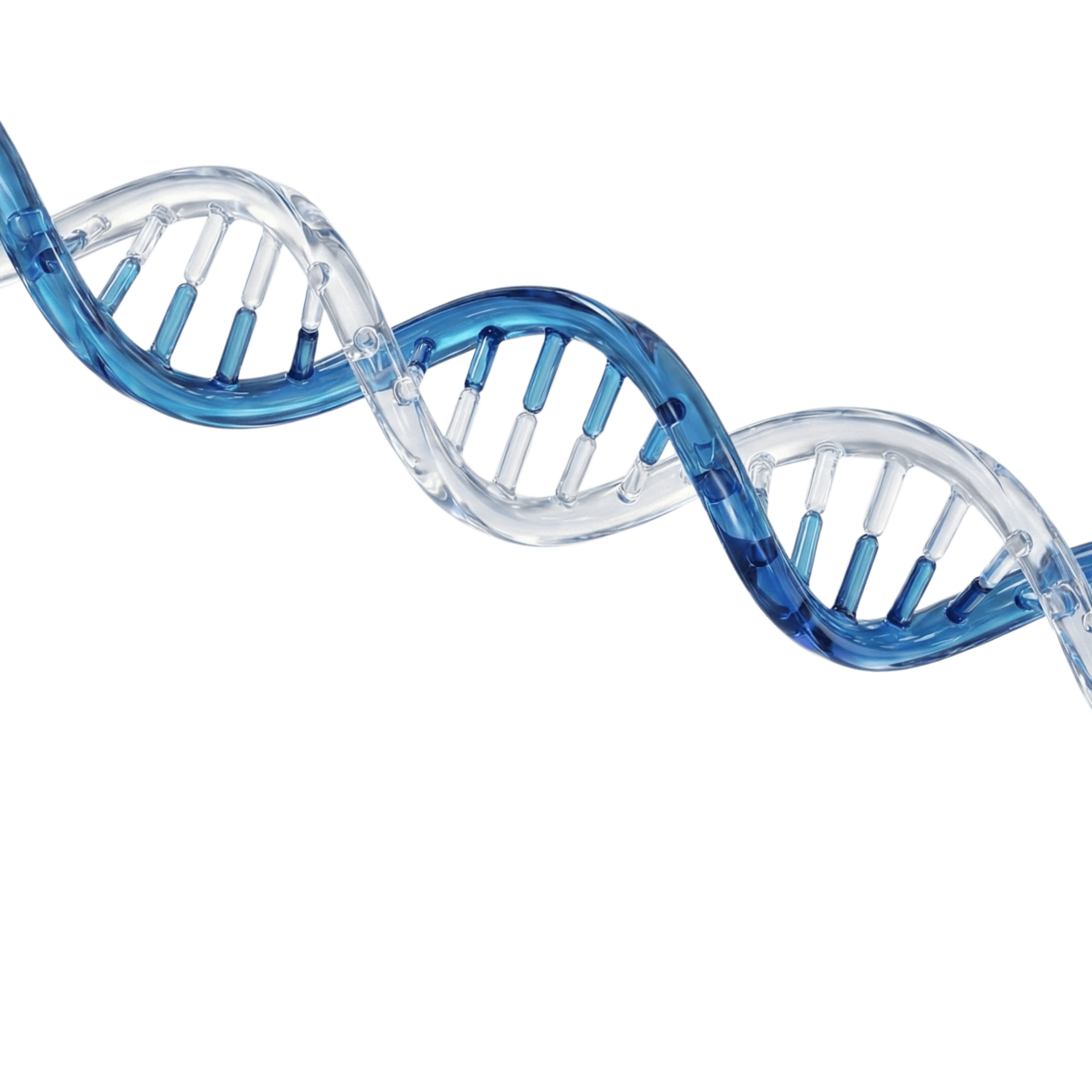 Oligonucleotides